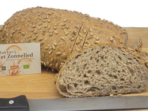Bio Zonnelied bruin Vloerbrood